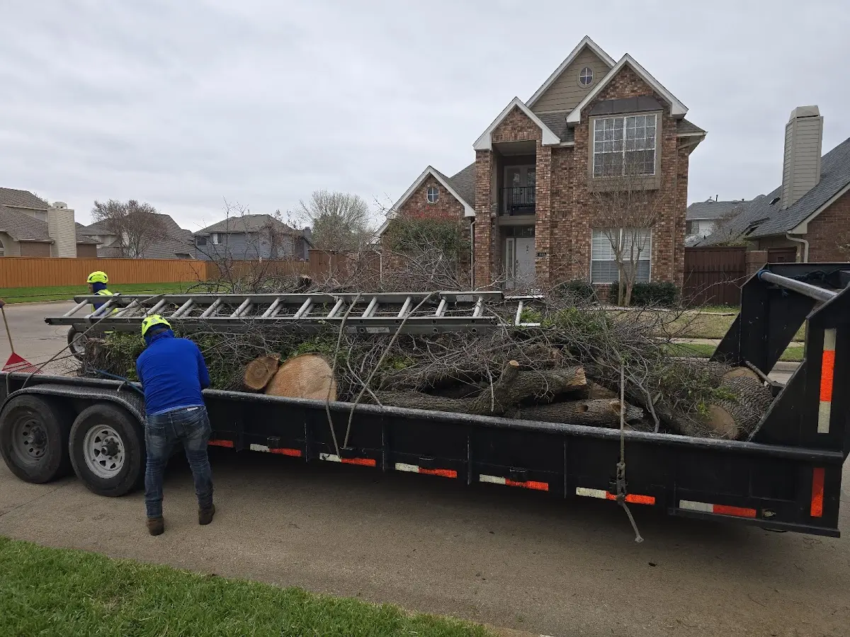 Expert Tree Removal with proper safety equipment in Little Suamico